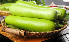 吃最苦的瓜,探寻最苦瓜果的独特魅力